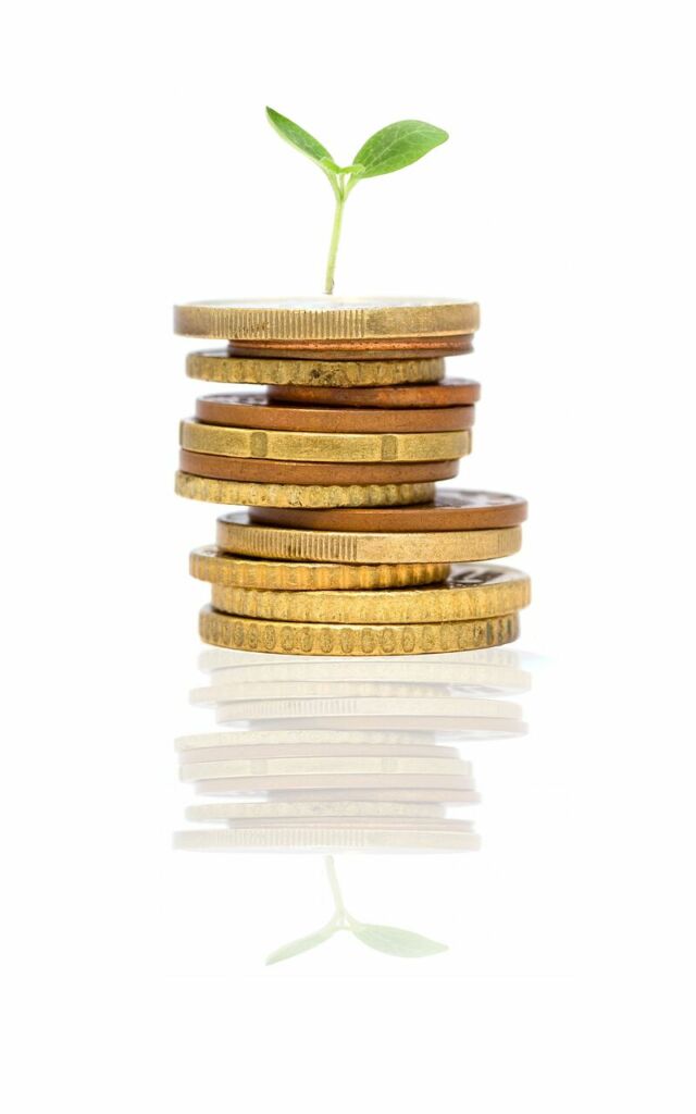 startup, growing, plant, idea, investment, nature, money, sprout, reflection